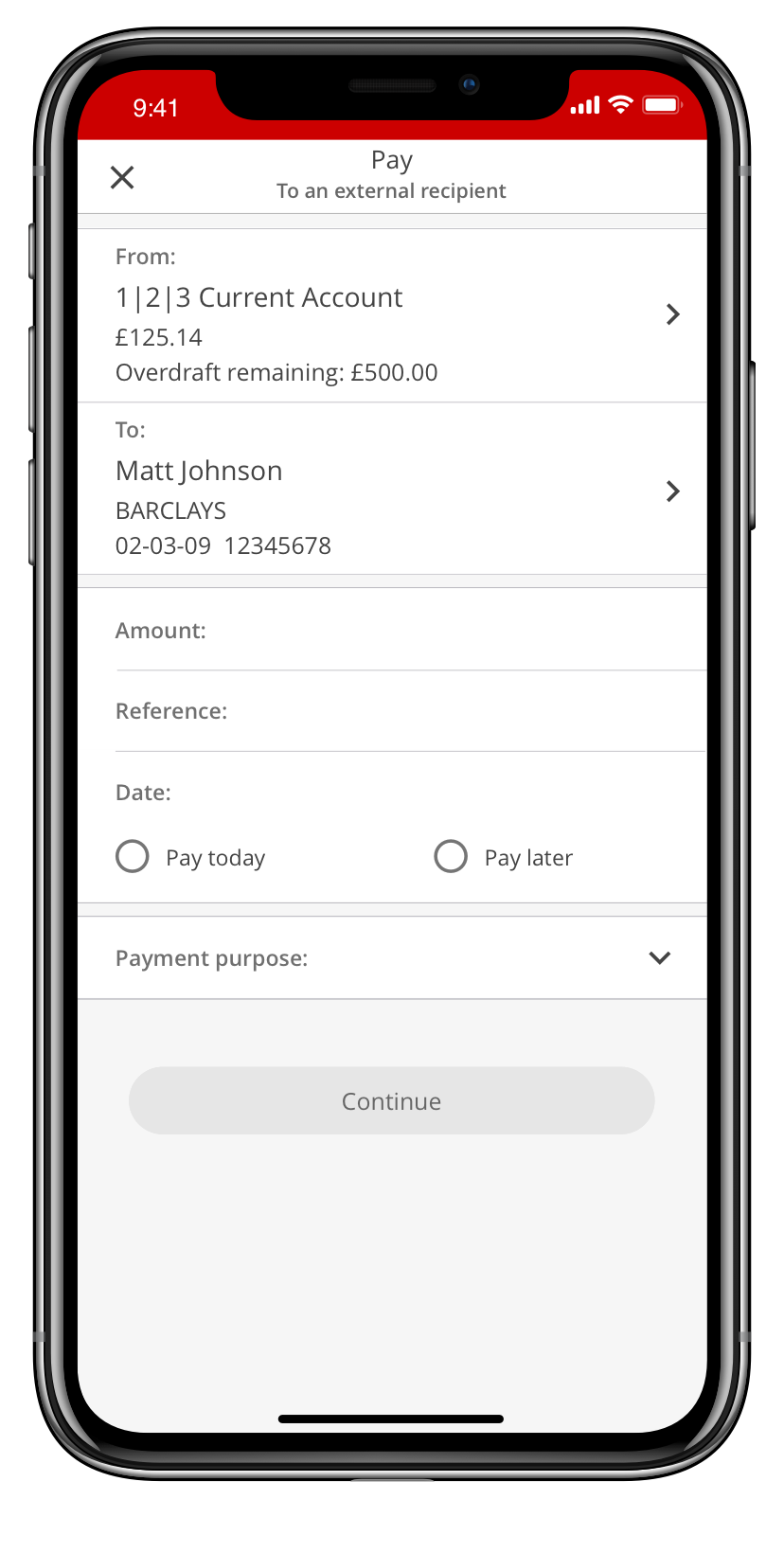 A screen to check the details you added are correct before paying an external recipient. 