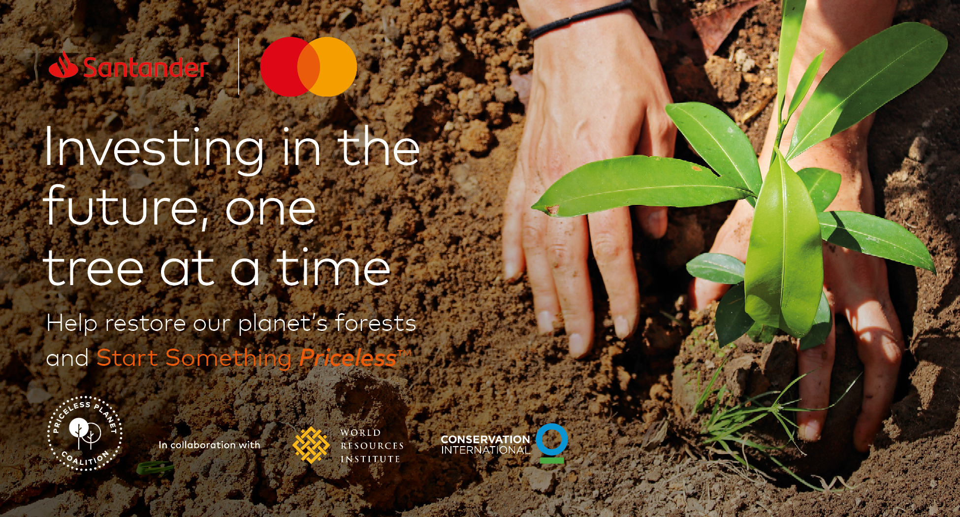 Investing in the future, one tree at a time with Priceless Planet.