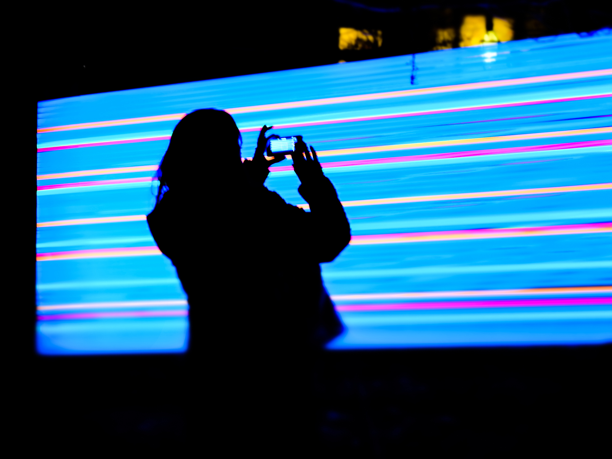 Woman taking a photo of a piece of art