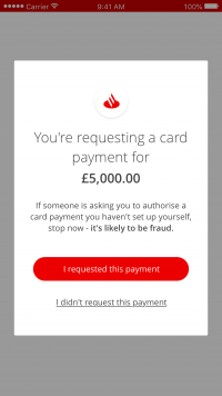 Mobile app updates - payment authorisation image 2