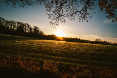 View over field with sun rising.