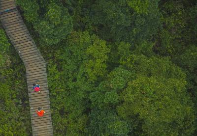 An aerial shot of 2 people walking along a bridge, surrounded by trees