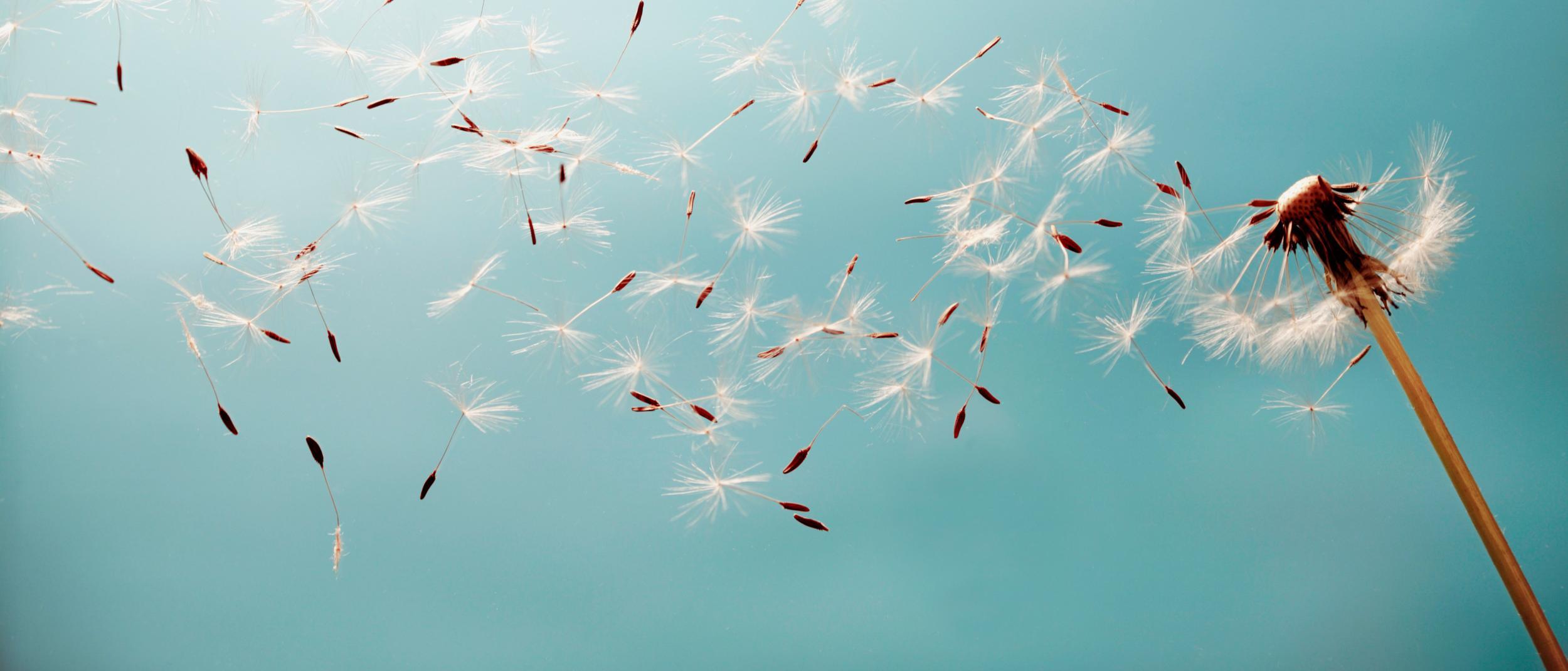 Stocks & Shares ISA Investment ISA Santander UK