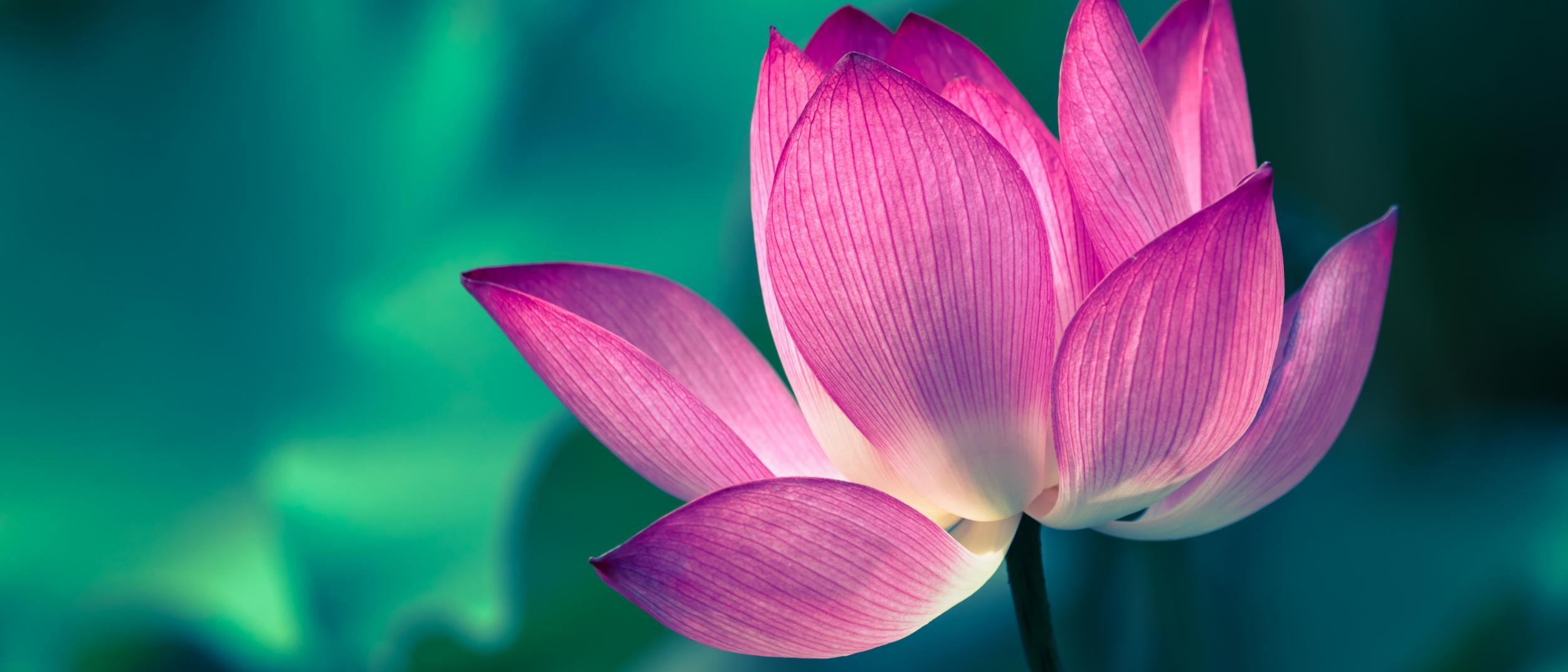 Stocks & Shares ISA Investment ISA Santander UK