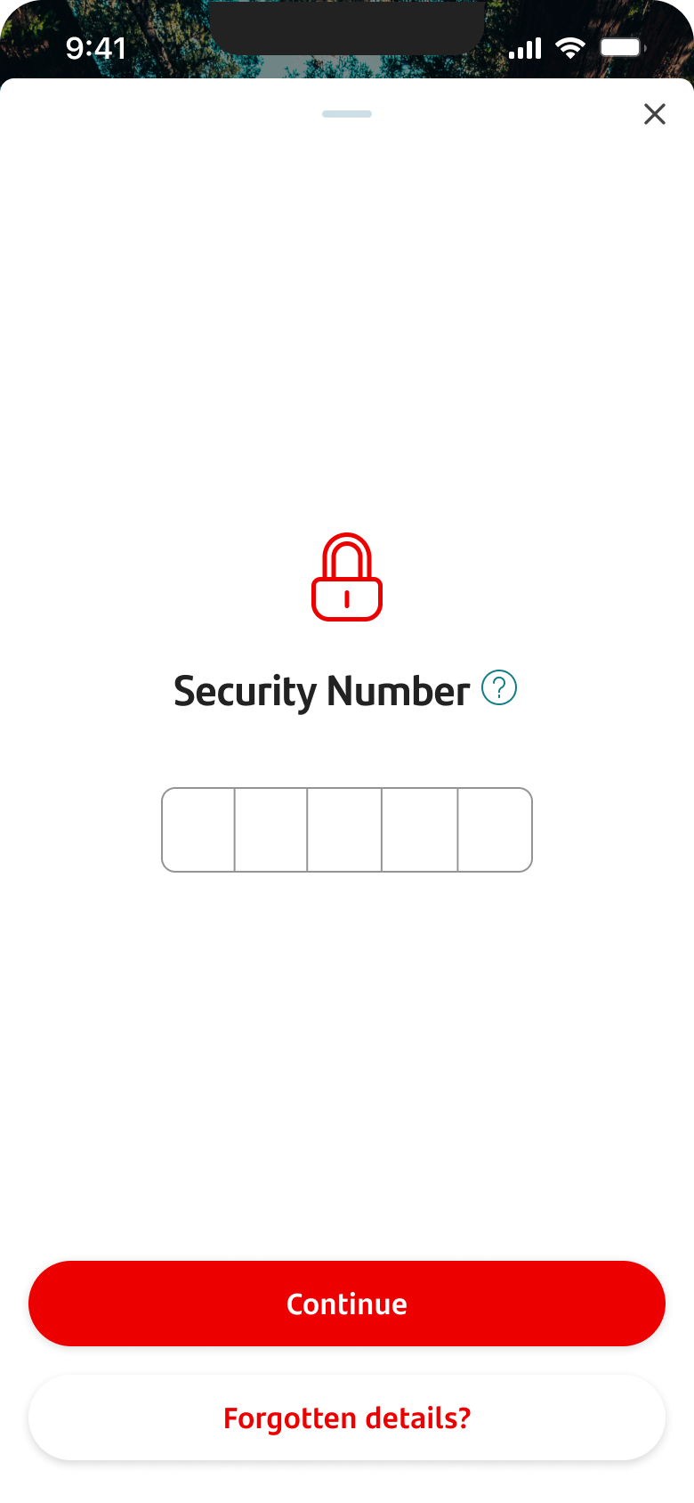 Screen for customer to enter their Security Number
