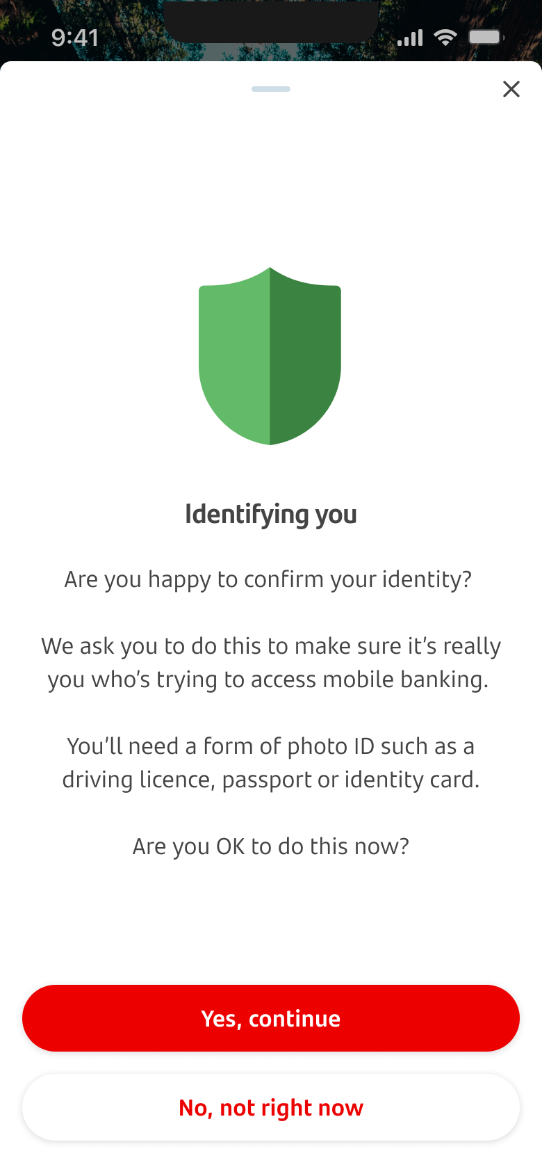 01b. Non-mandatory.png Identifying you screen