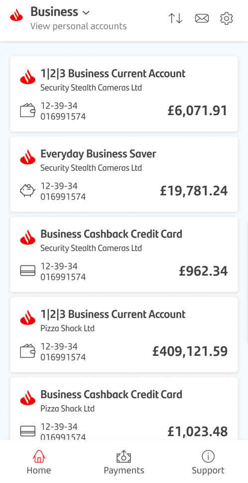 Sort Account 5 The Business Banking mobile app view accounts screen