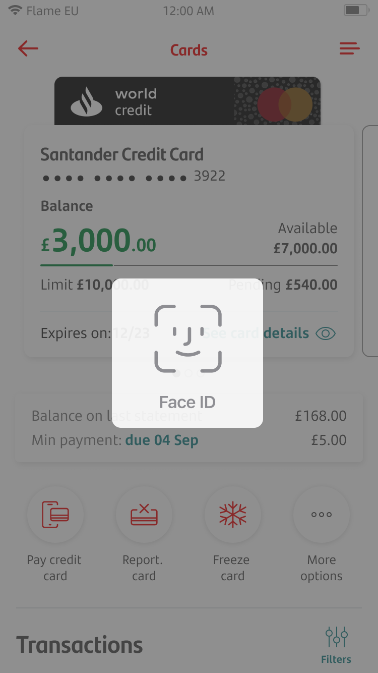 View PIN Screen 4.png Screen showing face ID confirmation.