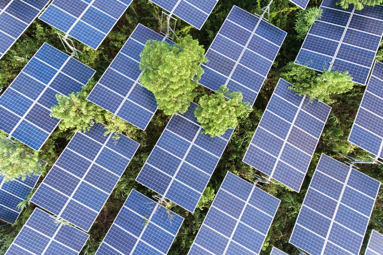 Photo of solar panels.