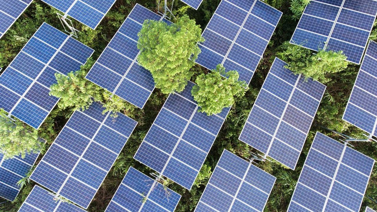 Birds eye view of solar panels.